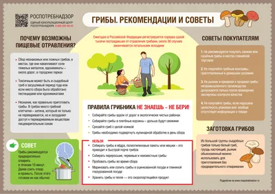 Картинки ГРИБЫ ДЛЯ ДЕТЕЙ, карточки по методике ГЛЕНА ДОМАНА «Вундеркинд с  пеленок» часть 2 - YouTube