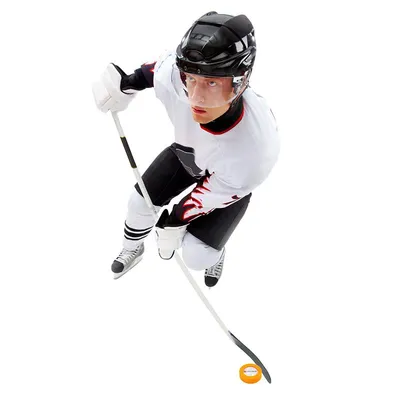Спортивный плакат для хоккея с шайбой | AliExpress