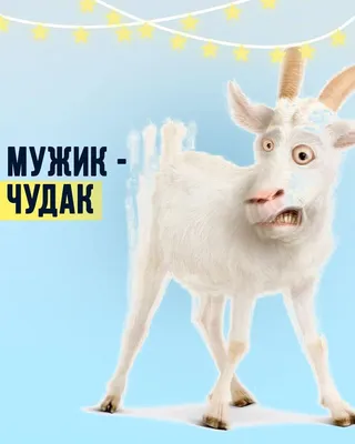 ВСЕ МУЖИКИ КОЗЛЫ. ВСЕ БАБЫ ДУРЫ - Coub - The Biggest Video Meme Platform