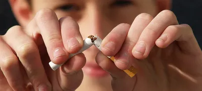 Можно ли восстановить лёгкие курильщиков — Ferra.ru