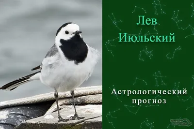 Любимого человека не с кем сравнивать - Я ТЕБЯ ЛЮБЛЮ, №2589512339 |  Фотострана – cайт знакомств, развлечений и игр