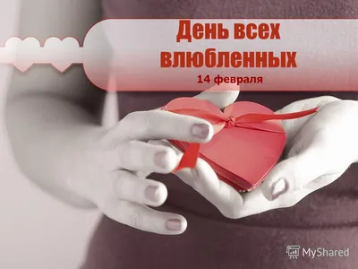 Праздник \"розовых соплей\", или торжество любви: 14 февраля для каждого свое  - PrimaMedia.ru