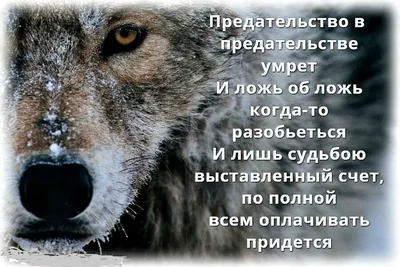 Предать предателей: смердяковщина как элемент российской политической  культуры. А.Н. Малинкин