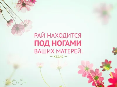 Хадисы и Сунна - #ихсан #мама #ислам #напоминание #намаз #семья  #семьявисламе #мечеть #мусульманка #мусульманин #хиджаб #хадж #мекка |  Facebook