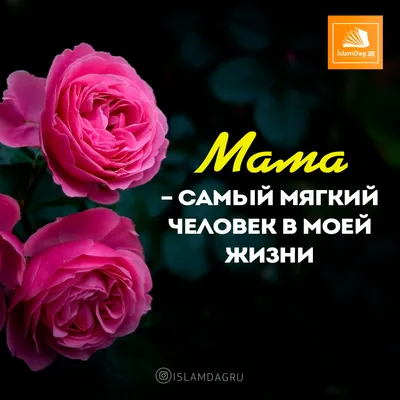 Заслужить довольства матери при её жизни... #хадис #Мухаммад #ислам  #мусульмане #рай #мать #мама #мусульманскийкалендарь #цитатокартинки… |  Ислам, Мама, Мотивация