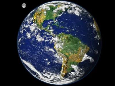 Единственный способ спасти нашу планету — это освободить половину Земли от  людей (The Guardian, Великобритания) | 07.10.2022, ИноСМИ