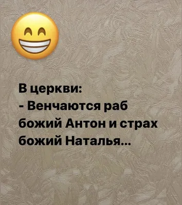 Фикус Бендж Наташа ø12 h30 см по цене 1111 ₽/шт. купить в Кирове в  интернет-магазине Леруа Мерлен