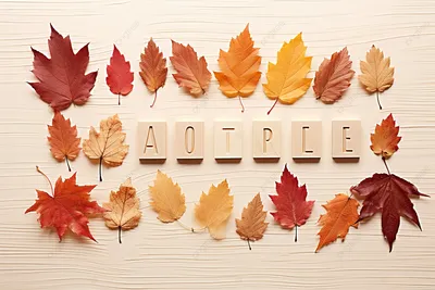 осенние буквы написания слова осень на белом фоне, осень, время года, лист  фон картинки и Фото для бесплатной загрузки
