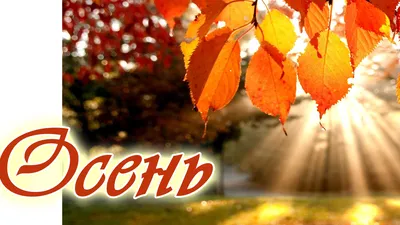В холодном парке с осенью проститься…» Осенние стихи русским словом |  Камертон