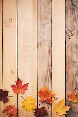 Красивая Осень Дерево С Упавшее Сухие Листья — стоковые фотографии и другие  картинки Без людей - Без людей, Буковое дерево, Вертикальный - iStock