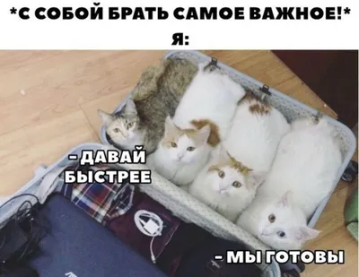 Отпуск юмор (82 лучших фото)