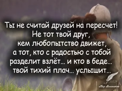 Картинки с надписью от гнилых людей мне нужно лишь одно расстояние (47  фото) » Юмор, позитив и много смешных картинок