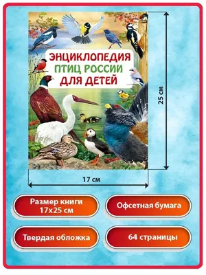 Лексико-грамматическое занятие для детей 4-5 лет с ТНР на тему «Птицы». |  Логопед Шамагина Ольга | Дзен