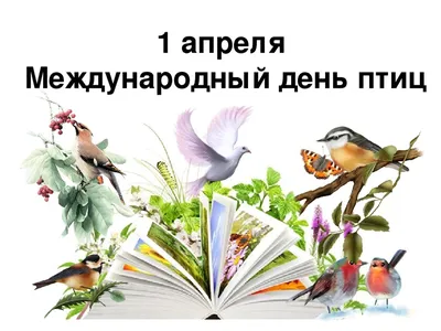 Набор карточек \"Перелётные птицы\" » Почитай-ка. Сайт для детей, которые  хотят научиться читать, писать считать и их родителей