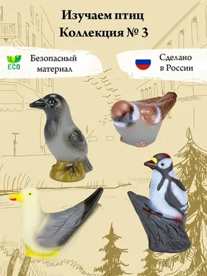 Республиканская дистанционная викторина «Всё о птицах», посвященной  Международному Дню птиц | ГАНОУ «Центр одаренных детей и молодежи «Эткер»  Минобразования Чувашии