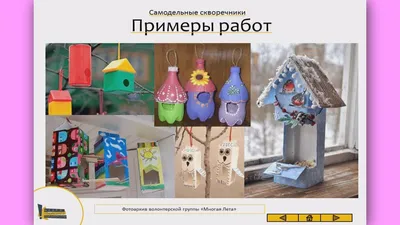 Все птицы карточки для изучения птиц с детьми...