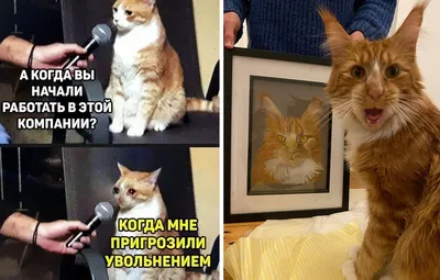 Поздравление с наступающими новогодними праздниками