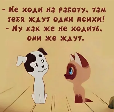 Пин от пользователя Irina Stek на доске юмор в 2023 г | Позитивные цитаты,  Юмор о работе, Веселые мемы