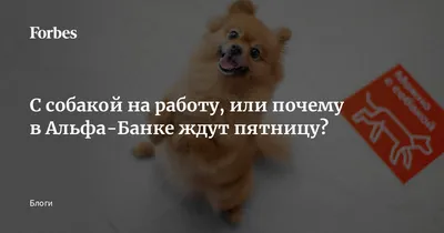 Уходя с работы в пятницу, стараюсь не бежать - АйДаПрикол | Уход с работы,  Стараться, Мемы