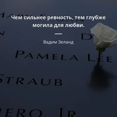 В Петербурге мастер боевых искусств из ревности до полусмерти избил свою  девушку | 31.10.2023 | Подмосковье - БезФормата