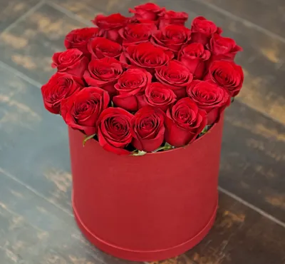 Интересные факты о розах. Что означают розы? Где купить розы в Москве