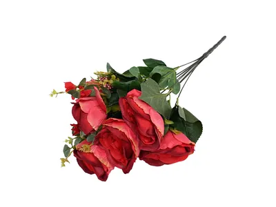 Only Rose — идеальные розы в коробке | Купить свежесрезанные розовые розы в  коробке «Флаверберри»