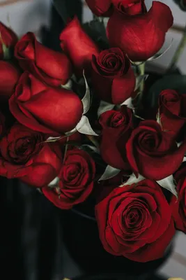 Букет из 101 розовой розы 60 см в упаковке купить в Барнауле с бесплатной  доставкой | Розы недорого оптом розница