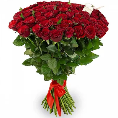 Букет роз «Рози», цена, фото, описание. Заказать в Минске с доставкой в  Labflower.by