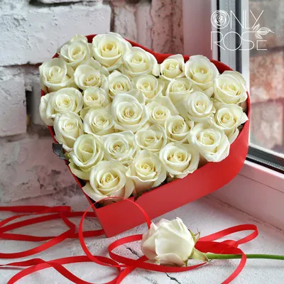 Букет из 51 красной розы сорт Гран-При - купить 51 розу с доставкой по  городу Днепр в ➜ Royal-Flowers Днепропетрвск