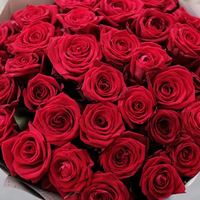 Almaflowers.kz | Красные розы \"Red Naomi\" - купить в Алматы по лучшей цене  с доставкой