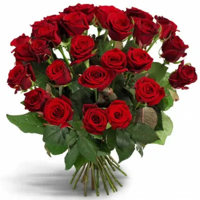 Розы красные и белые доставка в Кемерово | Buklavka42.ru