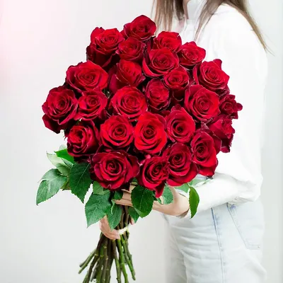 Красные розы в упаковке 31 шт. Сиреневый- цветочный магазин