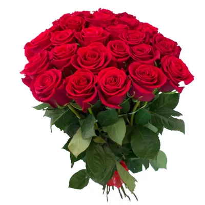Букет 33 розы (90 см) - заказ и доставка по Челябинску