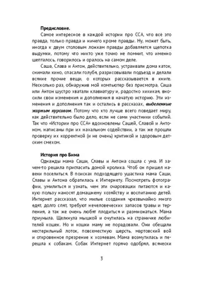 Ей небезразлично, это нормальная реакция человека\". Художница Саша  Скочиленко арестована за \"фейки об армии\", о ней рассказывают друзья