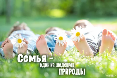 Цитаты о семье» — Яндекс Кью