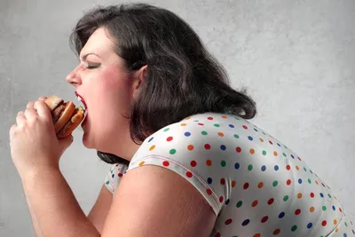 Почему американцы такие толстые: проблемы ожирения в США