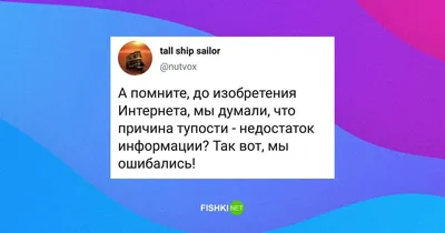 Свитшот \"У меня дикая аллергия на тупость...\"