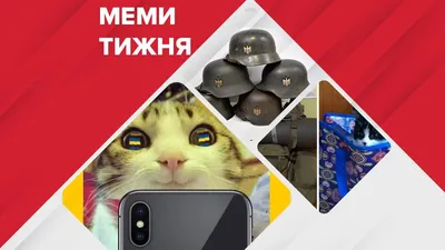 Мемы войны в Украине 2022 - лучшие шутки и смешные песни, фото и видео |  Стайлер