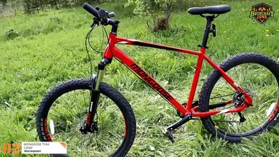 Велосипед SCOTT Scale 920 (2022) - купить в Санкт-Петербурге в магазине  mountainpeaks.ru по выгодной цене