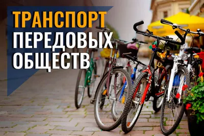 Наслаждаемся велодрайвом: подходящий велосипед для взрослых и детей