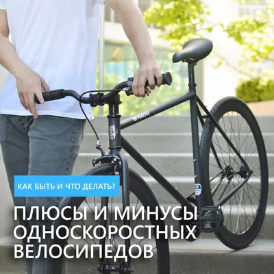 Городской велосипед London: цена на сити байки на официальном сайте  компании Bear Bike