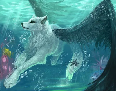 Картинки про волков аниме фото