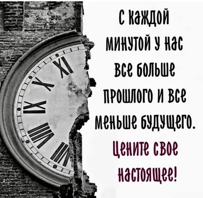 Жизнь и время – два учителя. Жизнь учит нас правильно распоряжаться  временем 《...》 | Яркие цитаты, Удивительные цитаты, Стильные цитаты