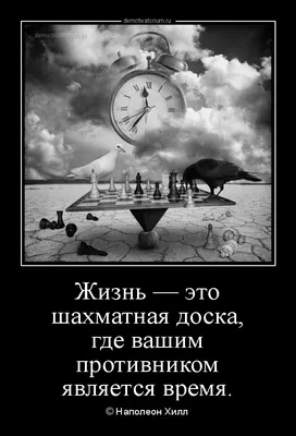 Доктор Кто. Жизни и времена (Путеводитель по сериалу) (Стив Трайб) - купить  книгу с доставкой в интернет-магазине «Читай-город». ISBN: 978-5-17-096337-9