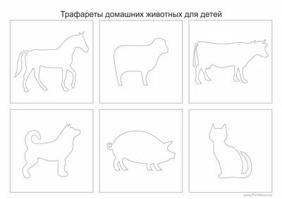 Дошкольное развитие ребенка: как выбрать и использовать картинки животных  для детей | В мире детей | Дзен