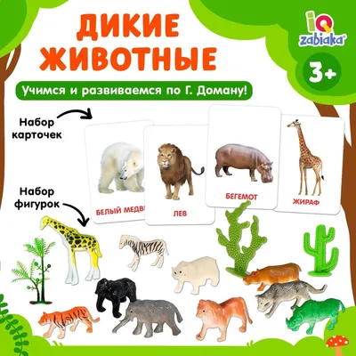 МИР ЗВЕРЕЙ! Животные для детей! Стихи для малышей APK do pobrania na  Androida