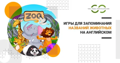 Домашние животные для детей: 5 зверьков, за которыми несложно ухаживать в  квартире