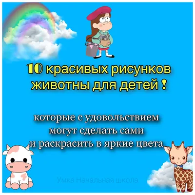 Книжка с животными и их именами для детей 4-8 лет: Книга с животными и их  именами для малышей и детского сада (Ukrainian Edition): MARSHALL, KIM:  9798362389093: Amazon.com: Books