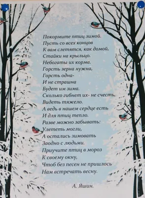 Играем с ребенком, изучая зимующих птиц: Персональные записи в журнале  Ярмарки Мастеров