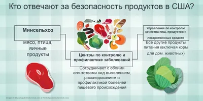 Продукты питания: 24 красочные карточки. Игры на узнавание, группировку и  обобщение предметов. Картинки со стихами и загадками. Описание развивающих  игр – купить по цене: 52,50 руб. в интернет-магазине УчМаг